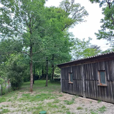 La Petite Maison Des Ecureuils Mios Extérieur photo