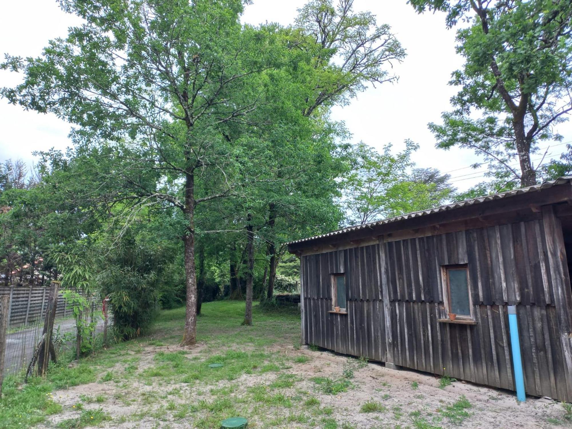 La Petite Maison Des Ecureuils