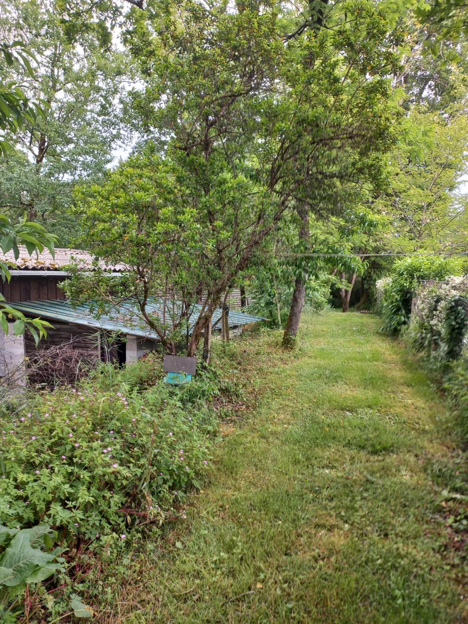 La Petite Maison Des Ecureuils Hébergement de vacances